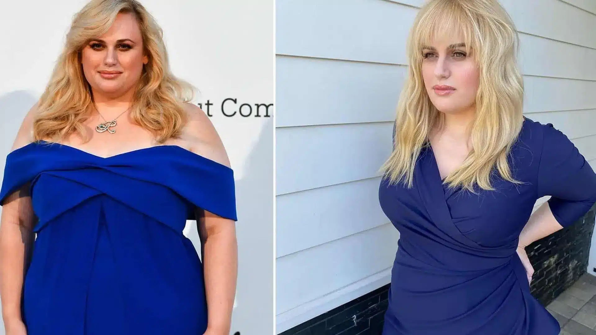 Rebel Wilson Weight Loss Process